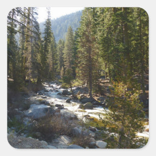Kaweah River in Sequoia National Park Square Sticker
