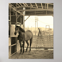 Kay Mei Ranch Glamor Chan Just Like a Thing