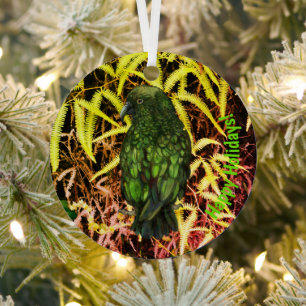 Kea bird Ornament
