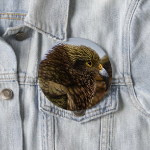 Kea (Nestor notabilis) 10 Cm Round Badge