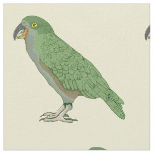 Kea New Zealand Bird Fabric