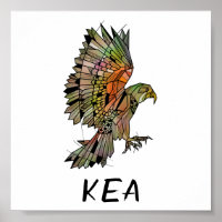 Kea new Zealand Native Bird