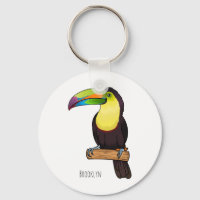 Keel-billed toucan bird cartoon illustration