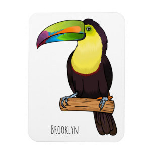 Keel-billed toucan bird cartoon illustration magnet