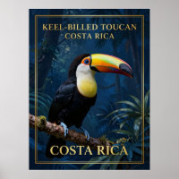 Keel-Billed Toucan Costa Rica Wildlife