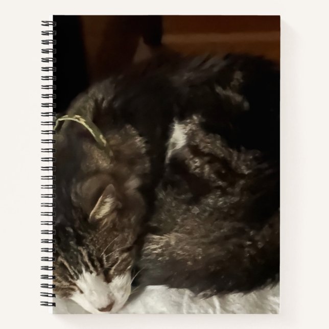 Keeno Perfect Circle Spiral Notebook (Front)