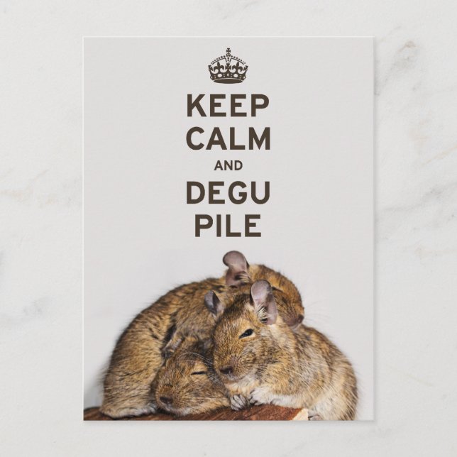 Keep Calm and Degu Pile Postcard (Front)