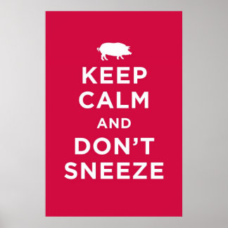 Keep Calm and Don't Sneeze Poster