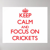 Keep Calm and focus on Crickets