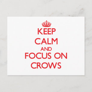 Keep Calm and focus on Crows Postcard