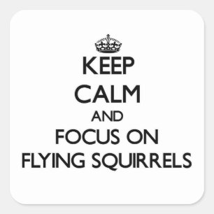 Keep Calm and focus on Flying Squirrels Square Sticker