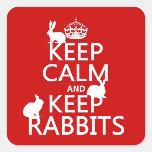 Keep Calm and Keep Rabbits - all colours Square Sticker