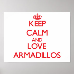 Keep calm and love Armadillos Poster
