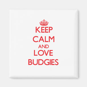 Keep calm and love Budgies Magnet