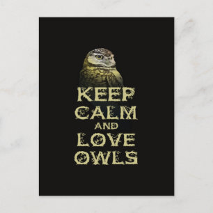 Keep Calm and Love Owls Original Owl Gift Stuff Postcard