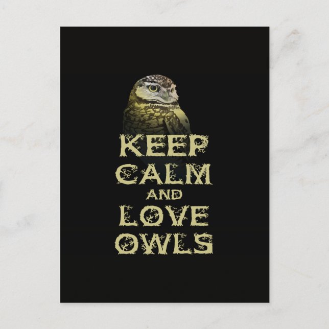 Keep Calm and Love Owls Original Owl Gift Stuff Postcard (Front)