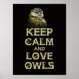 Keep Calm and Love Owls Poster Print Original Owl