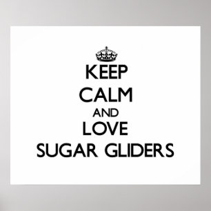 Keep calm and Love Sugar Gliders Poster