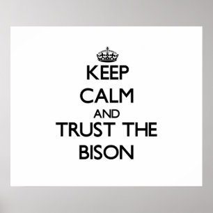 Keep calm and Trust the Bison Poster