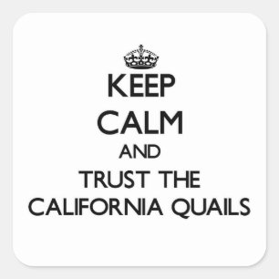 Keep calm and Trust the California Quails Square Sticker