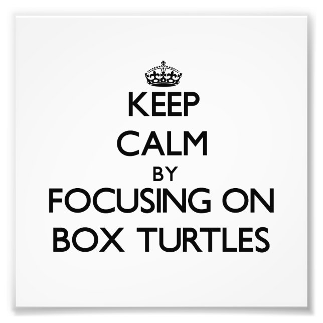 Keep Calm by focusing on Box Turtles Photo Print (Front)