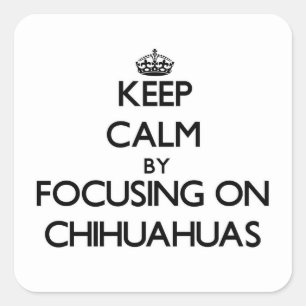 Keep Calm by focusing on Chihuahuas Square Sticker