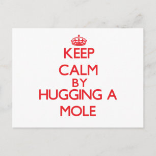 Keep calm by hugging a Mole Postcard