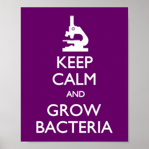 Keep Calm Grow Bacteria Poster