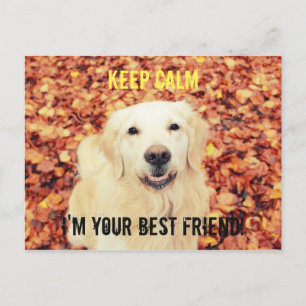 KEEP CALM Postcard for dogs lovers