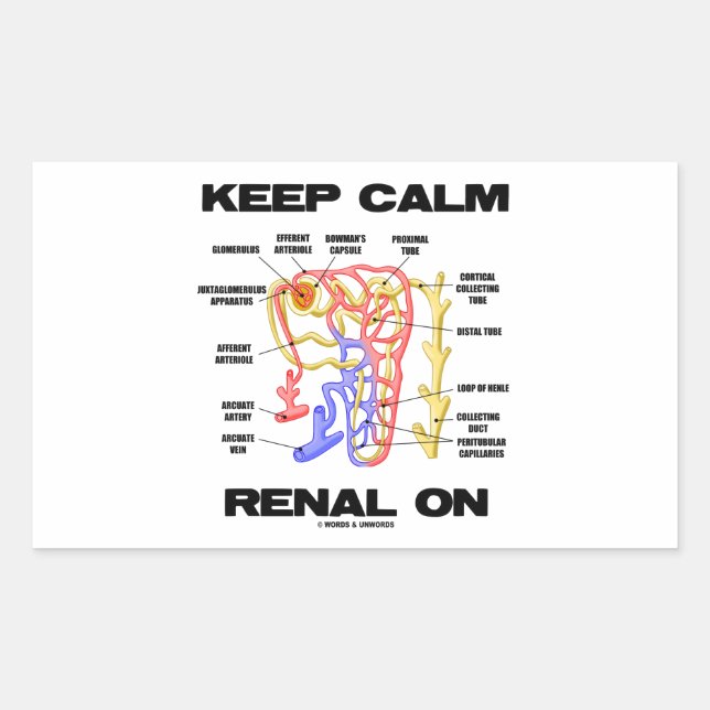 Keep Calm Renal On (Kidney Nephron) Rectangular Sticker (Front)