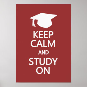Keep Calm & Study On custom poster