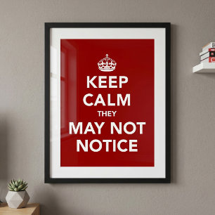 Keep Calm They May Not Notice Poster