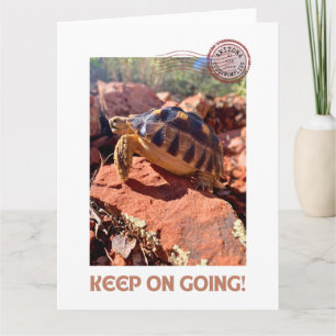 Keep on Going Inspirational coddiwompling Tortoise Card