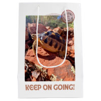 Keep on Going Inspirational coddiwompling Tortoise