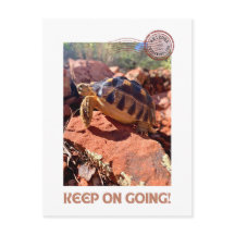 Keep on Going Inspirational coddiwompling Tortoise