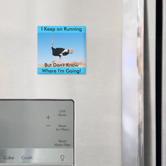 Keep on Running Ostrich Magnet (In Situ (Fridge))