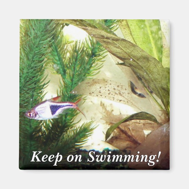 Keep on Swimming! Magnet (Front)