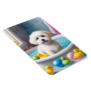 Keep or design your own  - Size: 4" x 6" Magnet