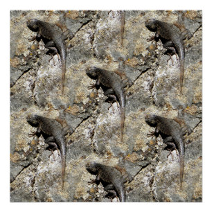 Keep right on climbing.... poster