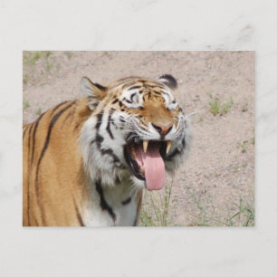Keep Smiling Postcard