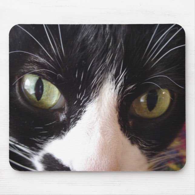 Keep Your Cat Eyes On The Mouse! Mouse Pad (Front)