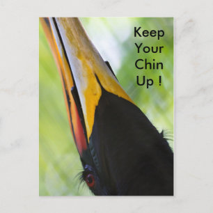 Keep your chin up, postcard