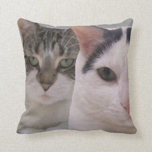 Keep Your Friends Close and Enemies Closer Cats Cushion