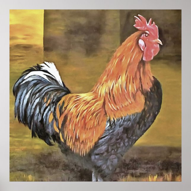 Keeping Chickens Farmyard Rooster Art  Poster (Front)