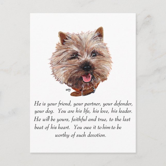 Keepsake Cairn Terrier - Male Postcard (Front)