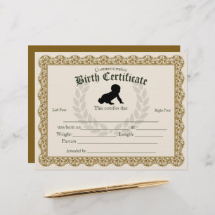 Keepsake Fill-in Footprint Baby Birth Certificate