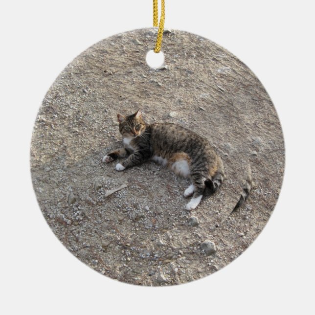 Keepsake Ornament: Tabby Cat with White Feet Ceramic Tree Decoration (Front)