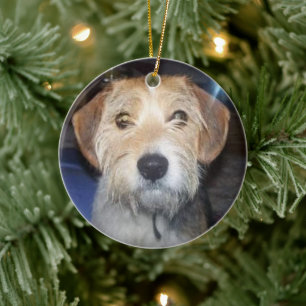 KEEPSAKE PET PHOTO With Typography Ornament