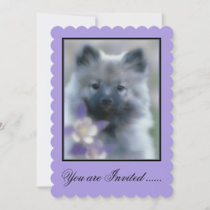 Keeshond and Columbine - Dog Photograph Invitation
