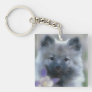 Keeshond and Columbine - Dog Photograph Key Ring